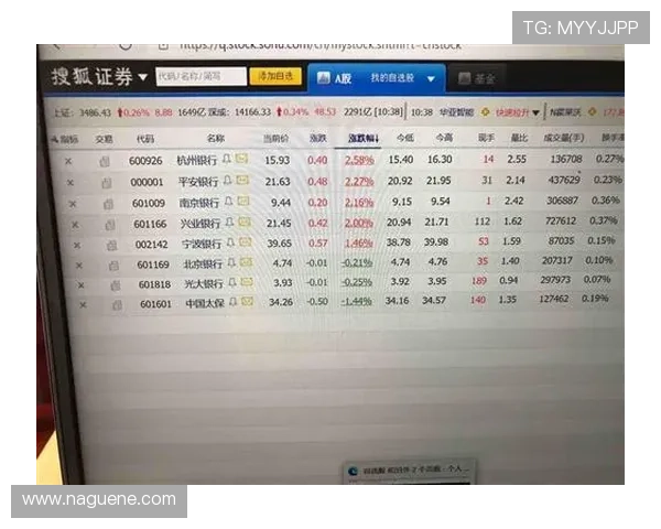 K8电子网址的用户评价与口碑分析，帮助新手选择最值得信赖的平台